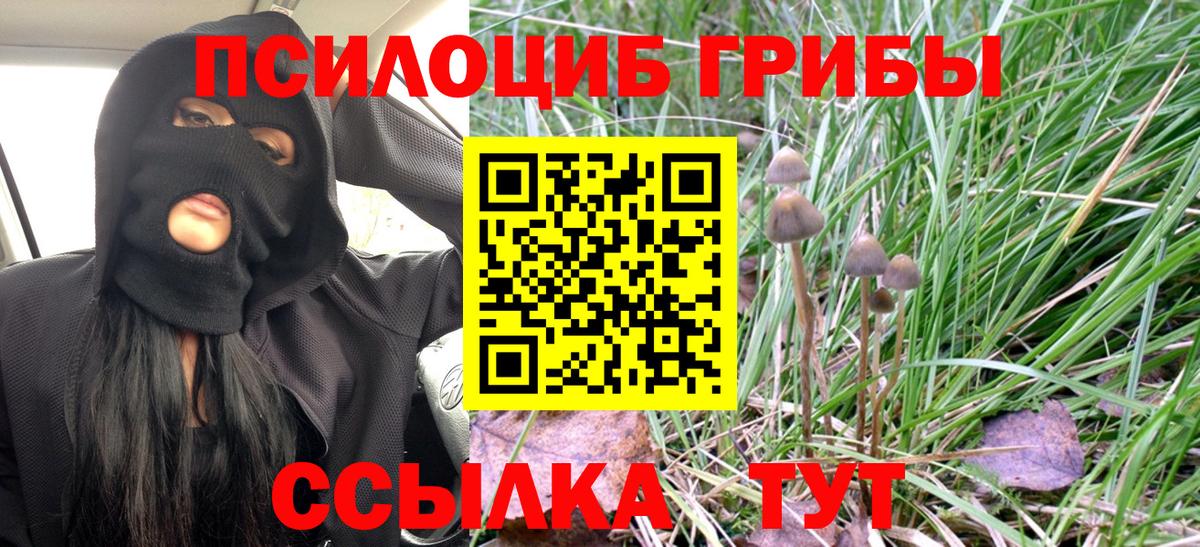 Псилоцибиновые грибы мухоморы Юрга