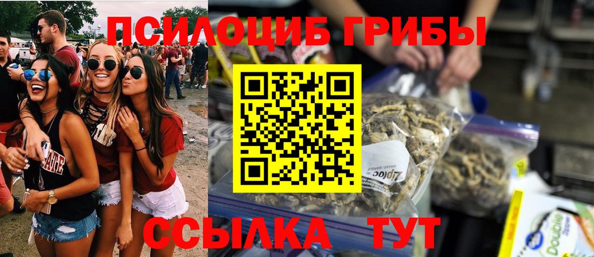 Галлюциногенные грибы мицелий  Вход с VPN  Юрга 